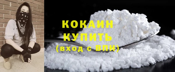 ПСИЛОЦИБИНОВЫЕ ГРИБЫ Баксан