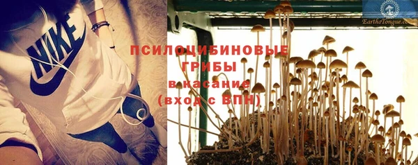 гидропоника Аркадак