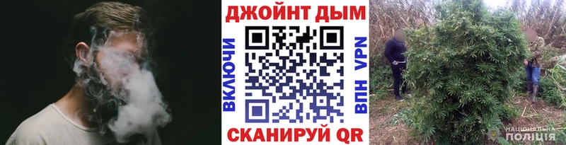 Каннабис марихуана  как найти закладки  Белая Холуница 